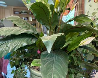 Artificial Plants in Pottery