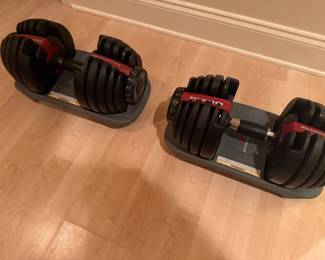 Bowflex Selectable Dumbells