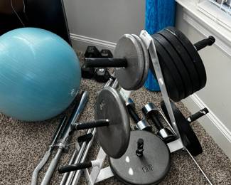 #120 Barbell stand w/plate Rack (weights sold separately at $1 per pound) $25.00