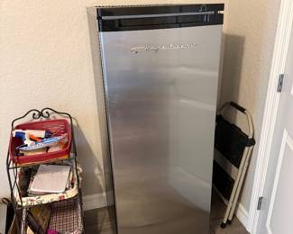 Stand up freezer