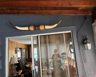 Longhorn steer horns