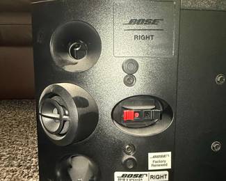Bose 301 Series V Direct/Reflecting Speaker