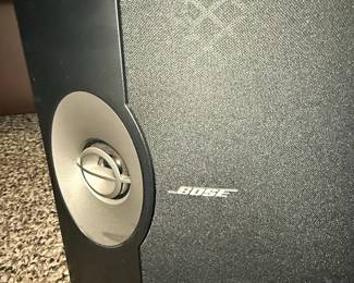 Bose 301 Series V Direct/Reflecting Speaker