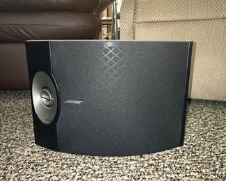 Bose 301 Series V Direct/Reflecting Speaker