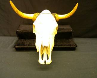 Skull