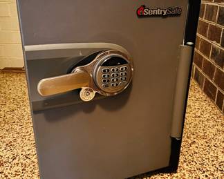 New Sentry Safe...