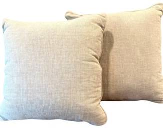 Pair Of Oatmeal Colored Pillows