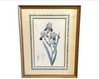 Iris Print
