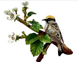 Vintage RSPB Franklin Porcelain 1980 "Chestnut-Sided Warbler" Bird Figurine