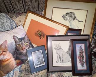 Cat pictures and pillows