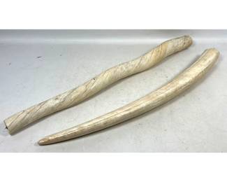 Lot 1985 2pcs Natural Animal Artifacts. 1 cut down.