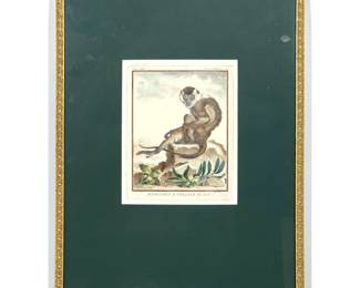 Lot 1997 Jacques De Seve hand colored copperplate engraving Mangabey A Collier Blanc Plate 33 from Buffon His