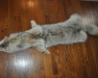 Fox? Pelt