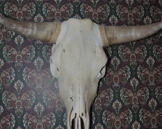 Skull 