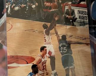 Michael Jordan Bulls Photo