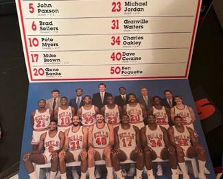 Chicago Bulls Camera Night Poster