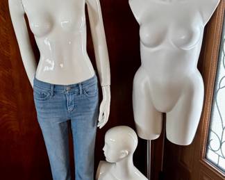 Professional Mannequins 