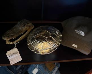 Taxidermy Alligator Head, Turtle Shell, The North Face Baseball Hat