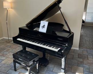 Thomas River Digital Baby Grand