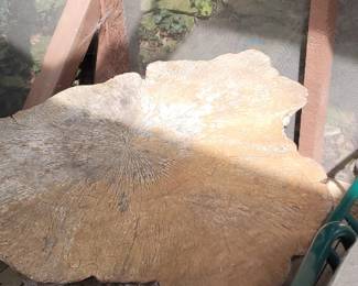 Solid tree stump coffee table
