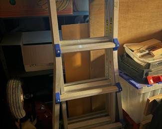 Extension Ladder
