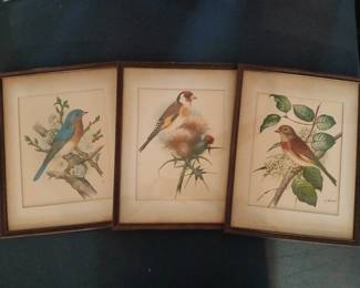 Bird Prints
