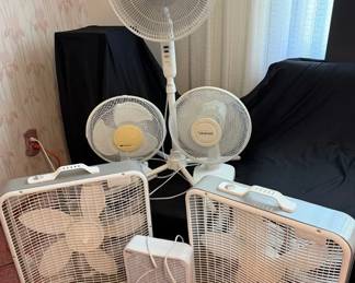 Variety of Fans