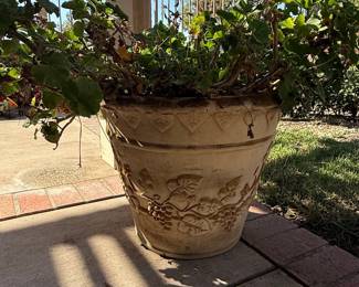 Grapevine Embossed Terra Cotta Planter