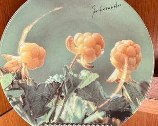 Jon Østeng Hov Villmarksserien Plate No. 3