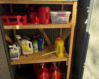 Lifetime Vertical Resin Storage Shed