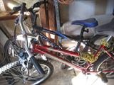 Bikes, Trek and Pacifico