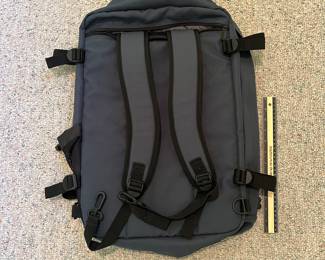 T90 - $20. Forest Green. Rick Steves Europe Convertible Carry-On Backpack 22" Expandable Travel Bag.