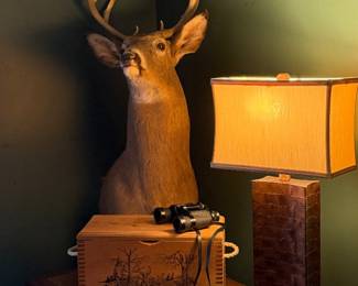 White Tail Mount