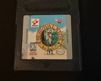 Nintendo Survival Kids