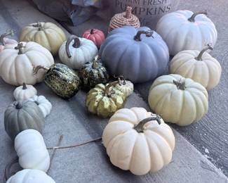 Fall pumpkin and gourd lot — assorted colors. $95