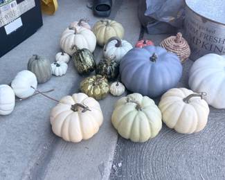 Fall pumpkins, assorted (~18) — $3 each
