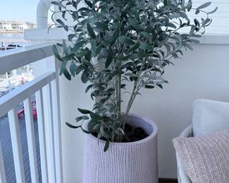 Tall faux olive tree in textured white statement planter. $110