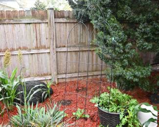 1317Back Yard
