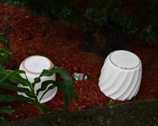 1315Back Yard