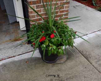 1342Front Yard
