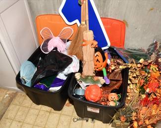 1008Basement
