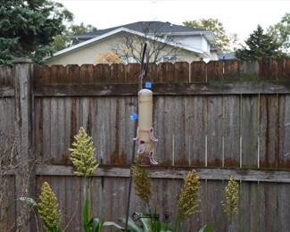 1316Back Yard