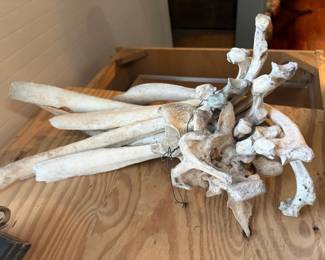 Reclaimed cow bones