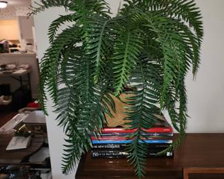 silk plant