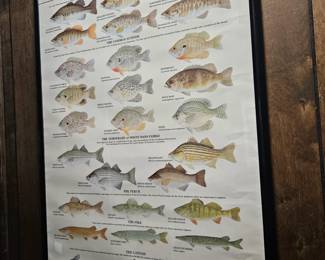 Warmwater Game Fish Chart
