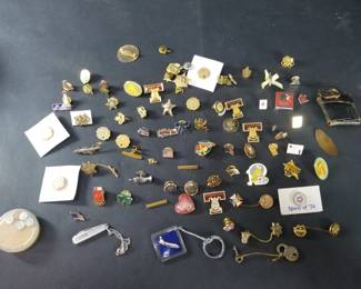 Lot 173  Pins, some vintage