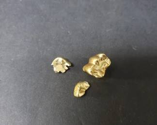 009  Lot 160  Dental gold
