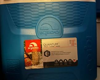 Igloo coolers