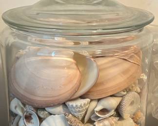 Jar of unique seashells