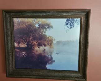 Swan Lake Framed Print